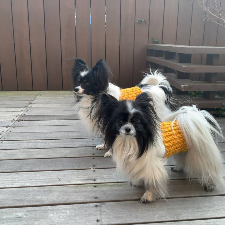 C18ab92c 8f43 4550 a0b5 9dd42772a792 1581407634794