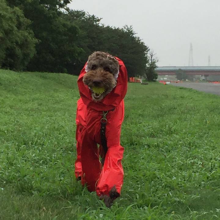 C18abf75 8fec 46ce b4b5 b7393859284a 1534176336095