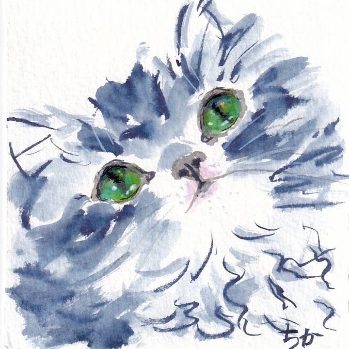 C18adecb f695 45c7 bb0e 018856039eaa 1732234645748