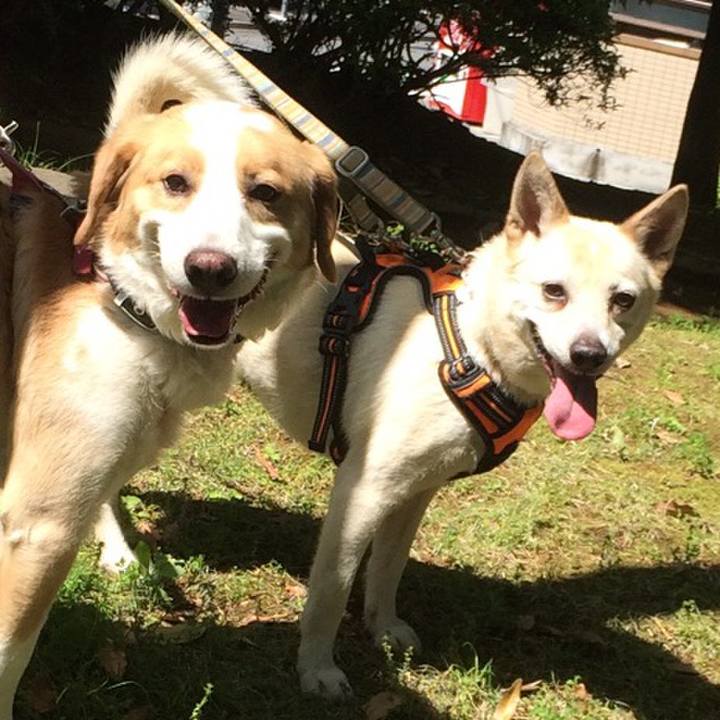 C18affcd ef06 4ce4 a021 4d533bc80784 1525517142640