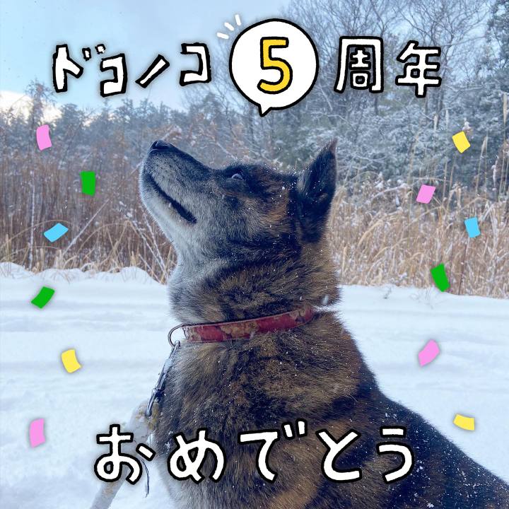 C18b177c 7f0e 4646 af4c 5feedebd0504 1623339207254