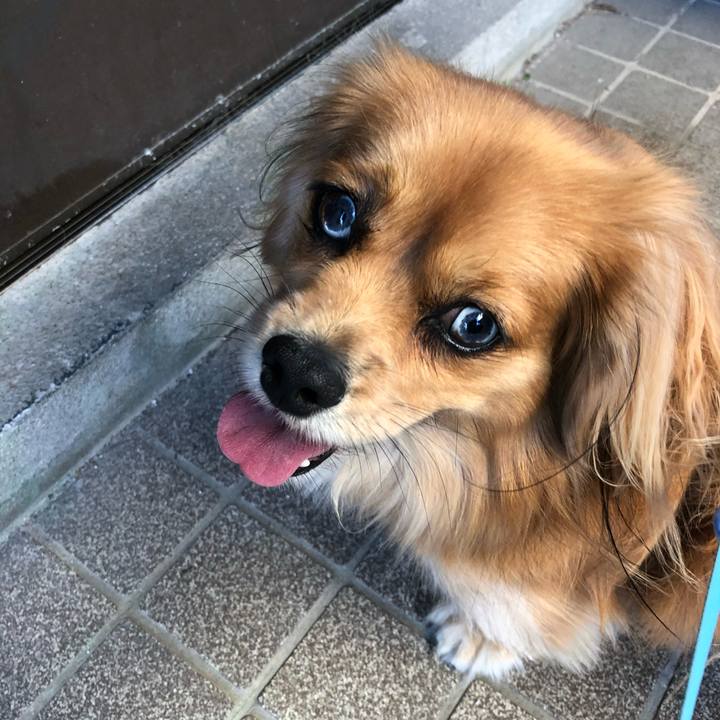 C18b86f5 3997 455e 9aca 43a6d9b2f37f 1572687189069