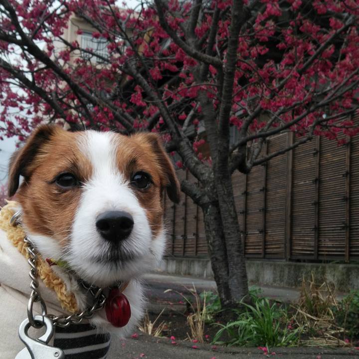 C18bbf35 b3d6 49d1 b3f9 ba9b645f8f89 1520675554852