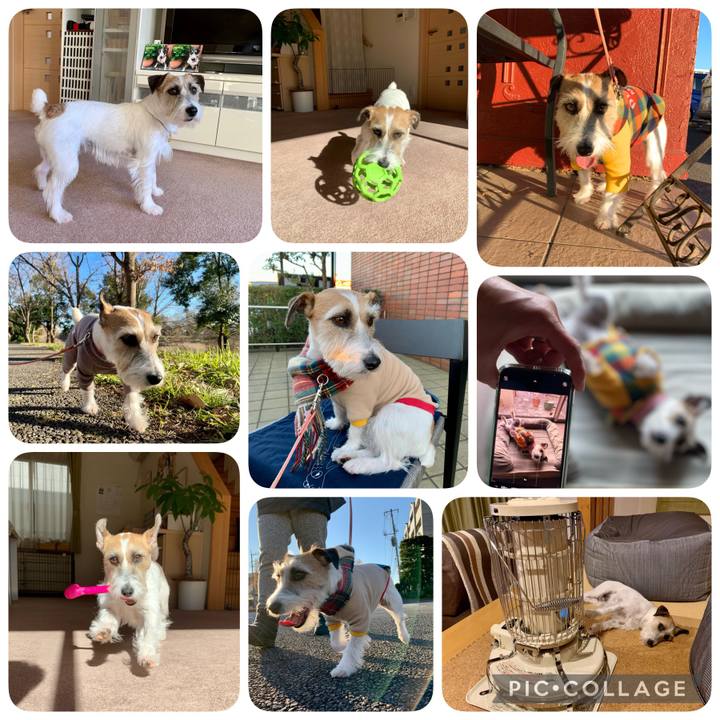 C18bd6f0 5b6e 4f8f 8280 2023047b860e 1644133068186