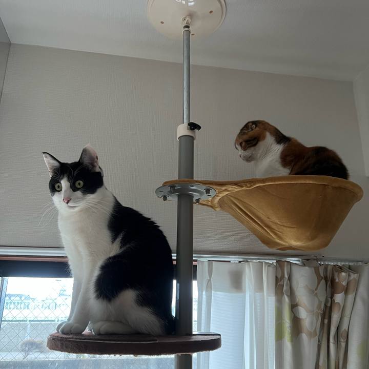 C18bd892 95ba 43ad 95fe d57f700e3191 1642908987890