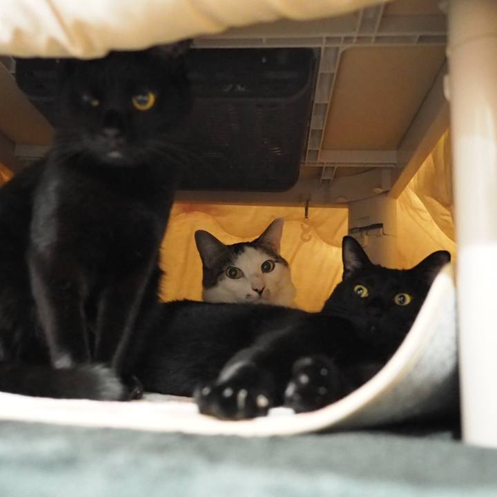 C18be14c 6a1f 47b0 a4b9 7391c124c33d 1544278828437