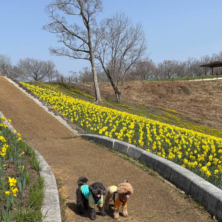 C18bec83 3c49 4182 a114 7ff34b5a35b5 1743256435014