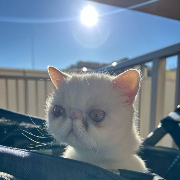 C18c1b90 e038 4702 8078 f1459b590253 1735705998069