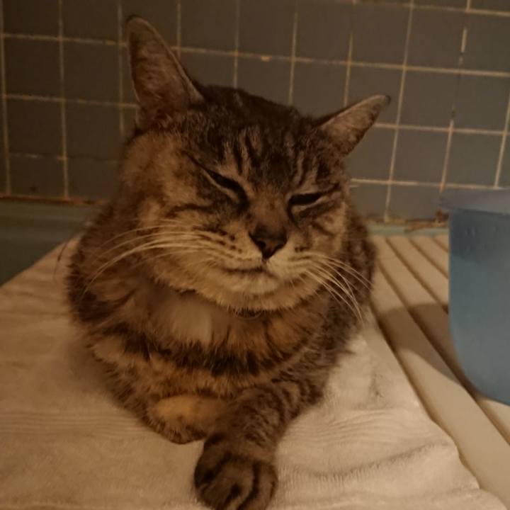 C18c3d60 f00d 46ea b86c a534aaf4e924 1580203646644