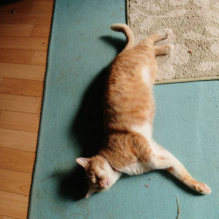 C18c5064 dee3 4750 aa5a f28a79a8bdc8 1570926610826