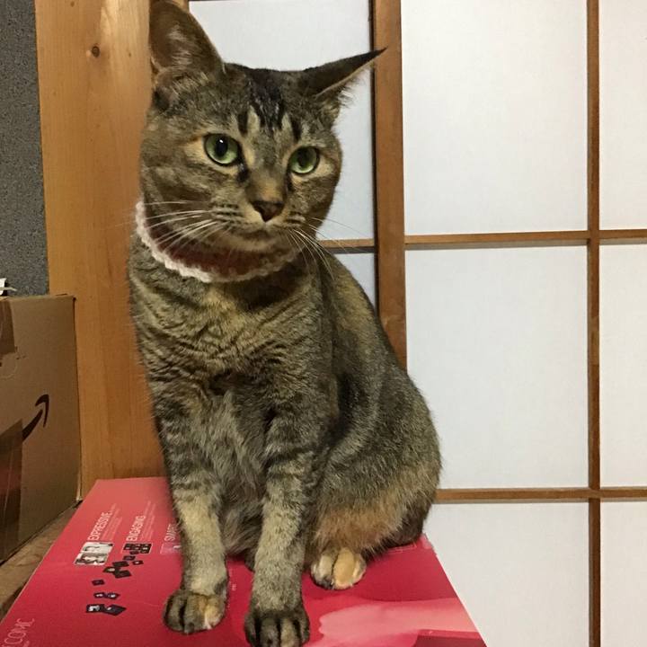 C18c566f 005f 4890 96dc 47f640692791 1657795615664