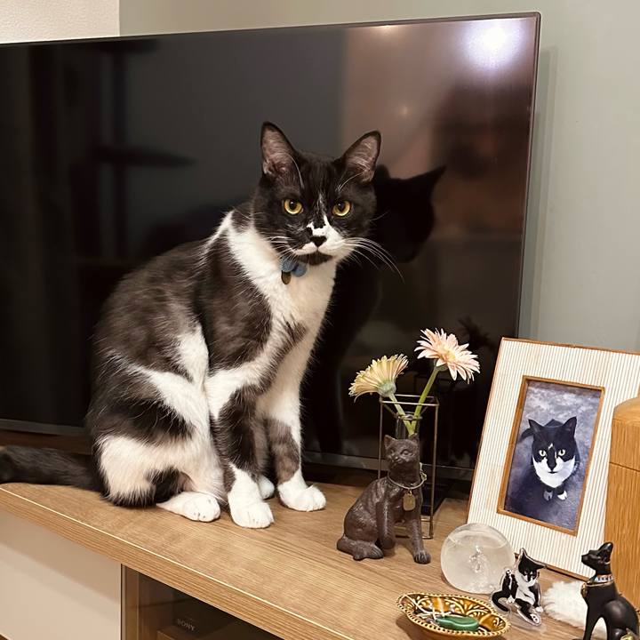 C18cc23b d55c 463b afb3 554a45a14297 1774450354153