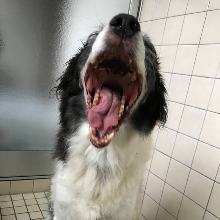 C18d20d0 2b82 474a 8995 9b6e668b796e 1534485505954