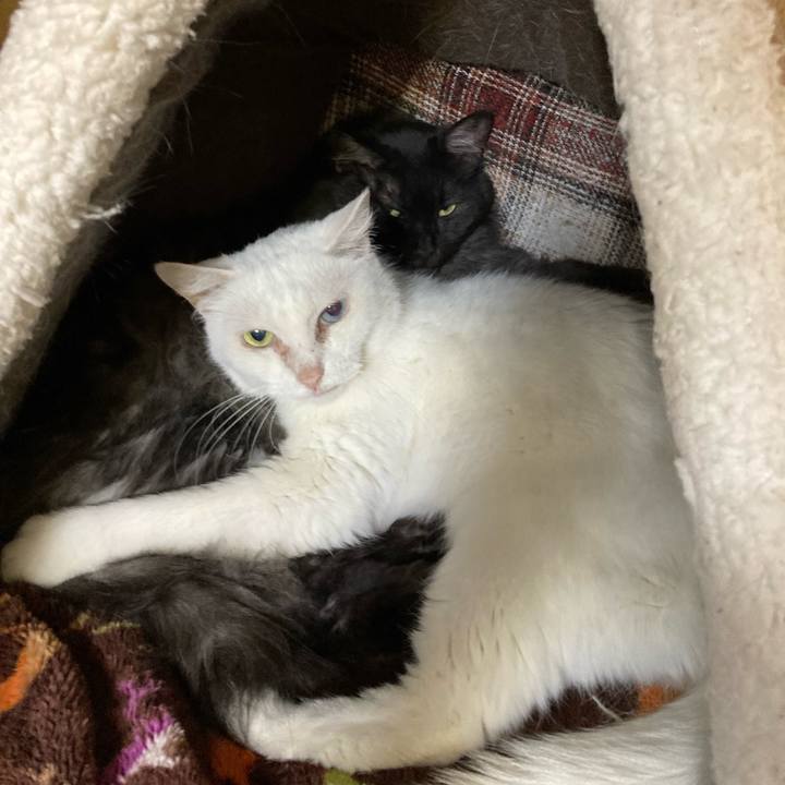 C18db55c cdee 4215 9ba6 2d2543f59386 1684141704403