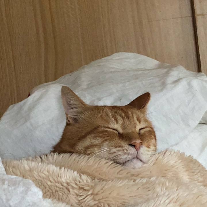 C18dd681 fc9f 417d 9699 1c78ce5acfb9 1588033471781