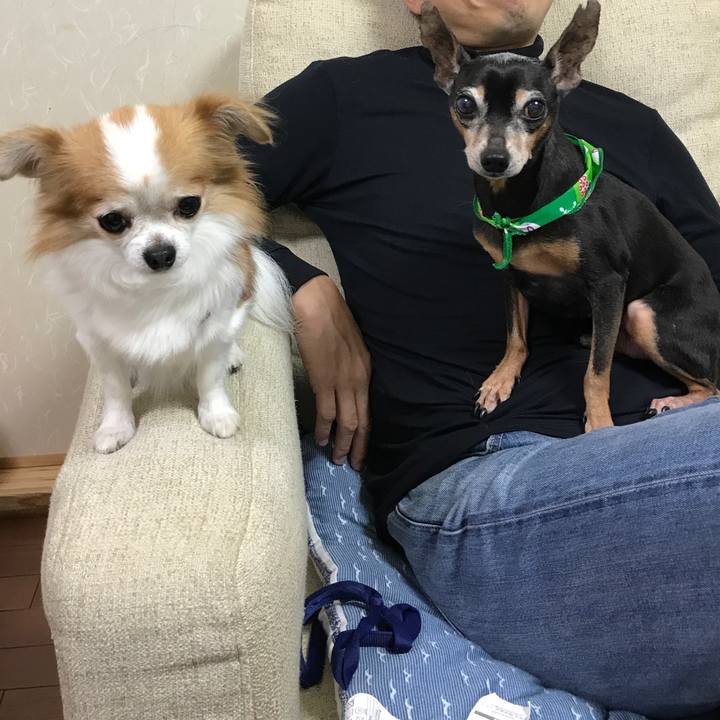 C18de60f 022a 4061 bebc 95dad65e607a 1508541623501