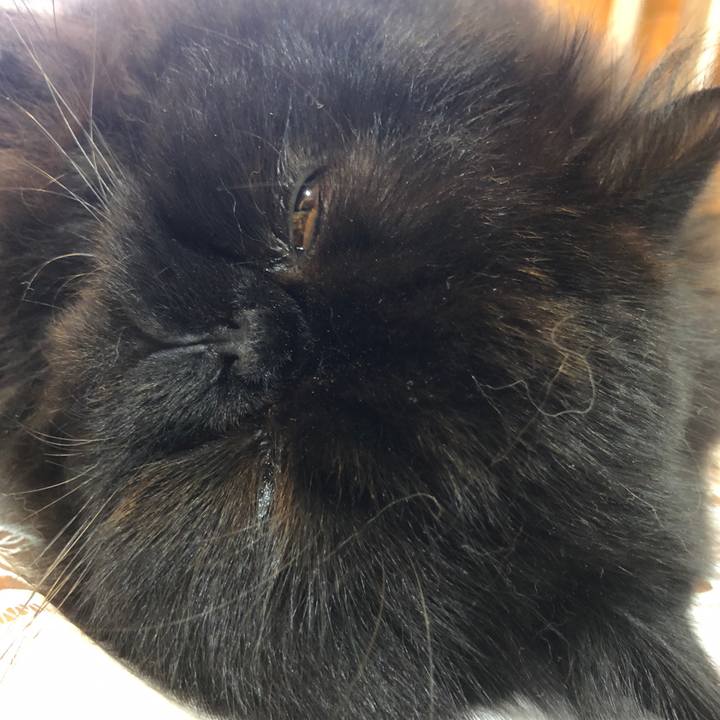 C18df394 77ca 4aa4 8747 186e4a0b8437 1539439664812