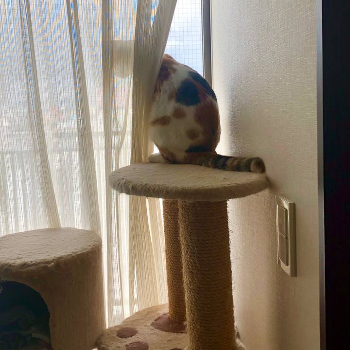 C18e170b cac8 4c08 afae ba35c6b2c9c3 1598485776070