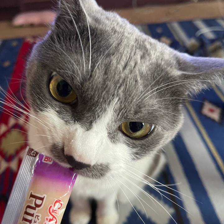 C18e26d3 e45d 4188 aac1 dd30be375ea5 1658213409900