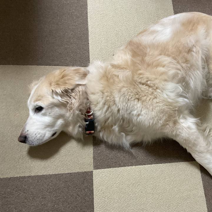 C18e3502 da3d 4680 a3c8 a056dab2931d 1713595910090