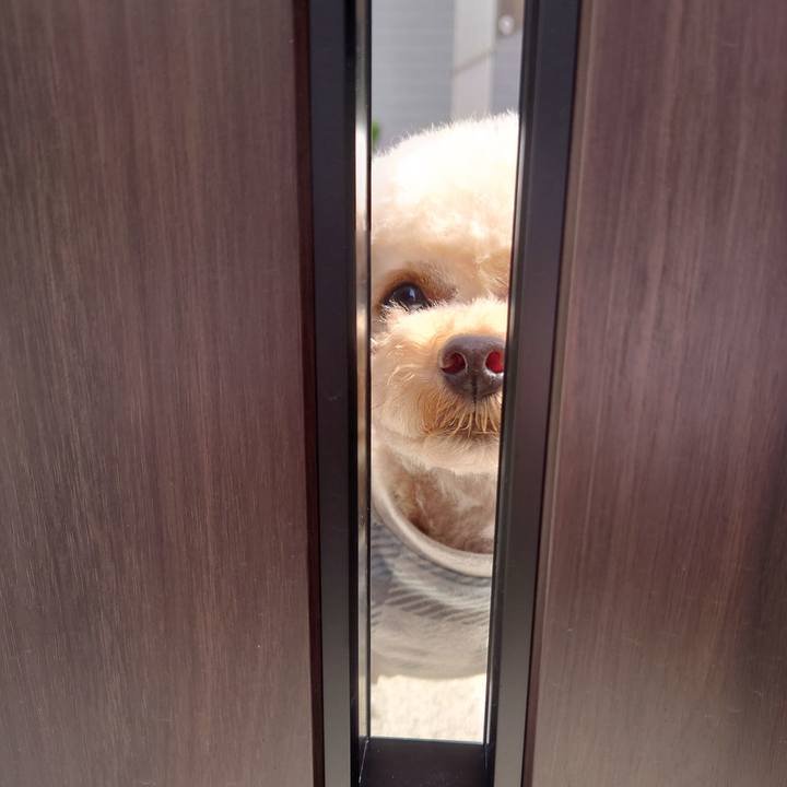 C18e52cd 83a1 43bc 83b6 7178568873fa 1775464545331