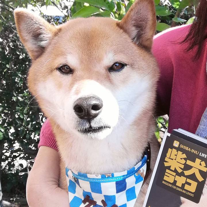 C18ea492 abd0 42c7 89dc 5c7cb3054a7a 1582276693273