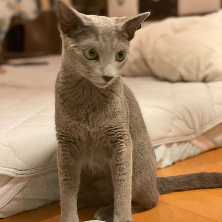 C18ef8f7 4e42 405c 9350 1ae24e937fb9 1629602516049