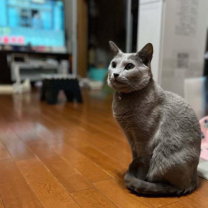 C18f10c1 607a 402a a73e 9fd454c8930a 1648816026975