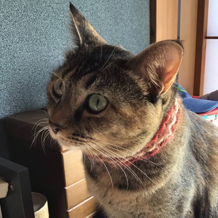 C18f5e78 7d66 40fa 974b 3799a474be75 1632735705960