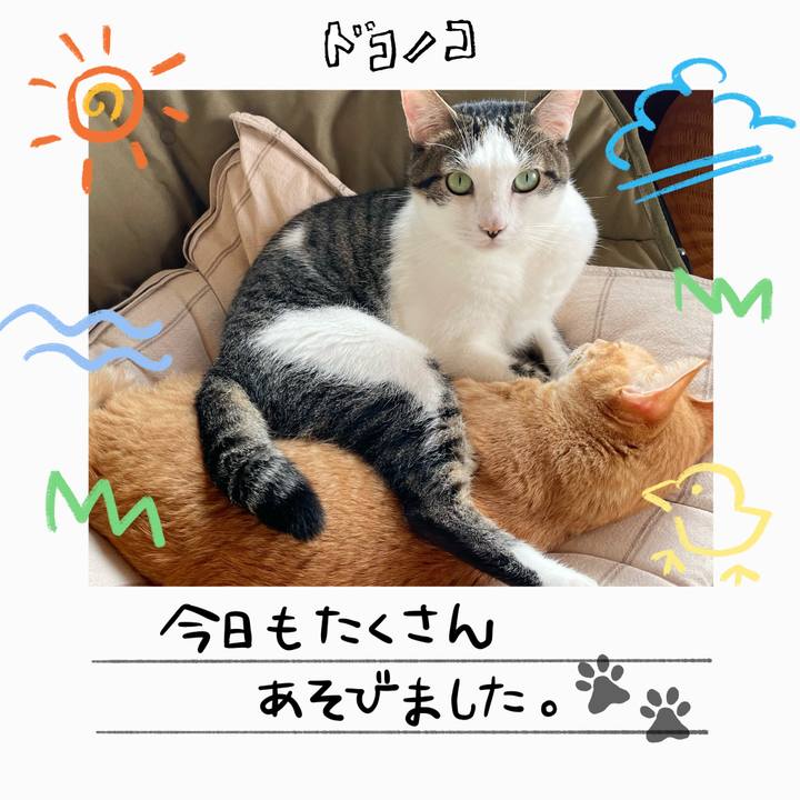 C18f9c5b d252 4c9a 85db e182950660f1 1755072398812