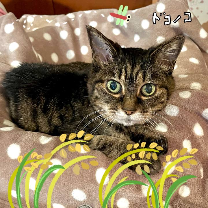 C18fc5be 7cfd 41c8 98c1 7f8fc880efe1 1761443009383