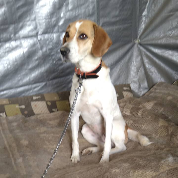 C18fd54e 8c8d 4402 b2a4 9199f72b45ca 1624935978448