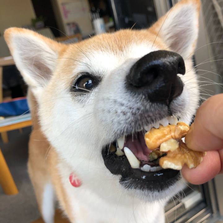 C18fdfdc dccc 47d6 ad01 a33e1aabb710 1695861470953