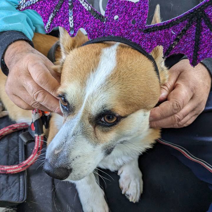 C18fe42e c300 432f 9ab3 5f52cee705ce 1698152050681