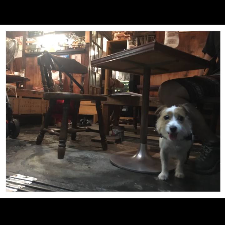 C18fe91e 738f 4696 8901 83cb147ba779 1535198203910