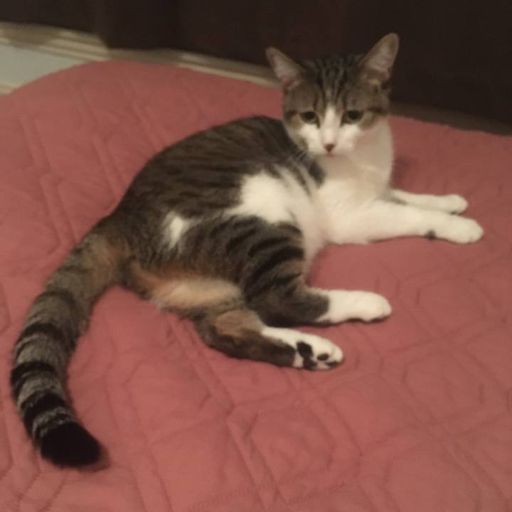 C19038cd 3044 4e49 b725 8baeedb34cf3 1662683607031