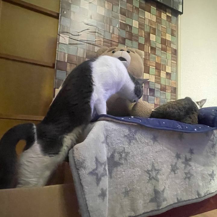 C1905a6e f282 458d 8858 055aa2c2d452 1628685058448