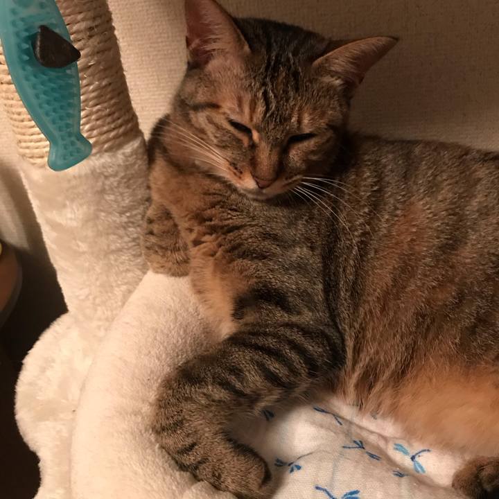 C1906296 ad2e 445c b58a 55ce69530253 1592822214582