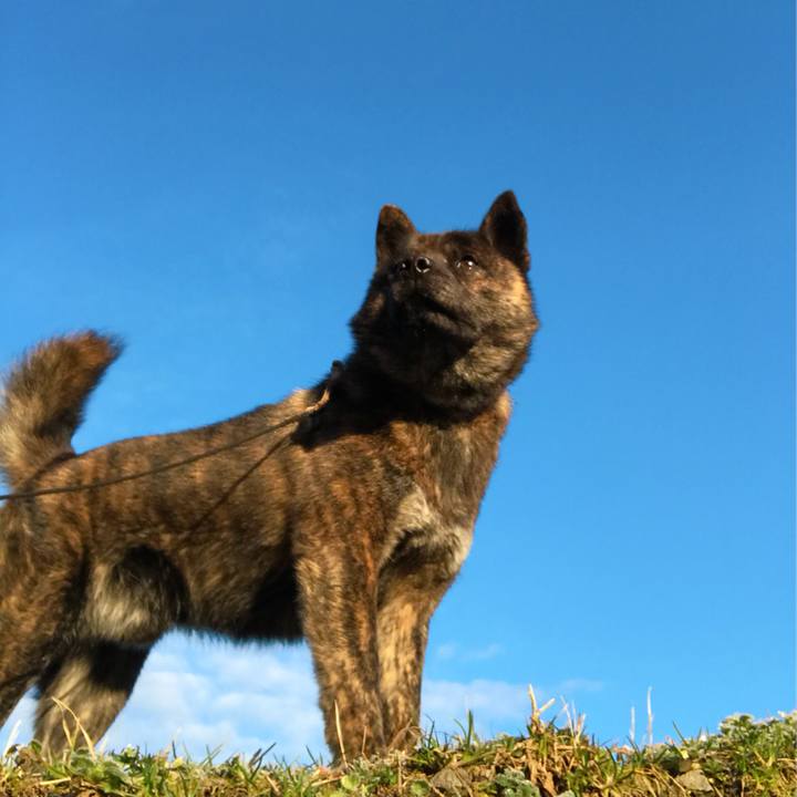 C190af5c 400b 4848 afd9 2e1c07aeea51 1520375836524