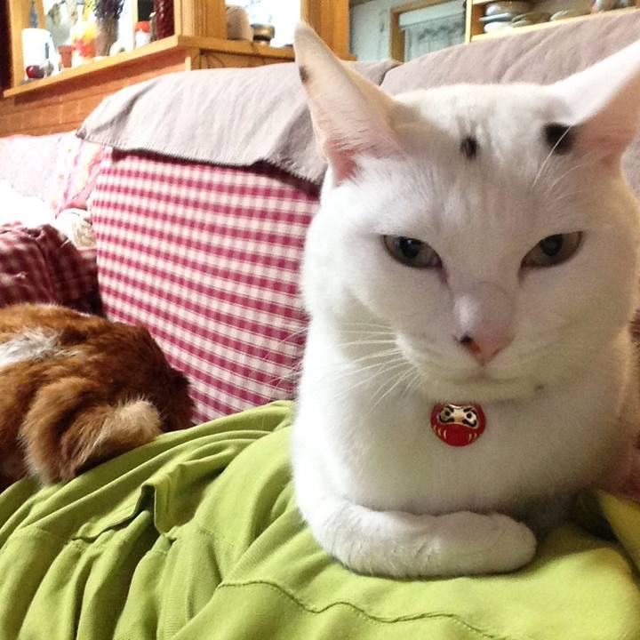 C190b2a9 bced 40d7 bea5 a12594455bec 1519298766915