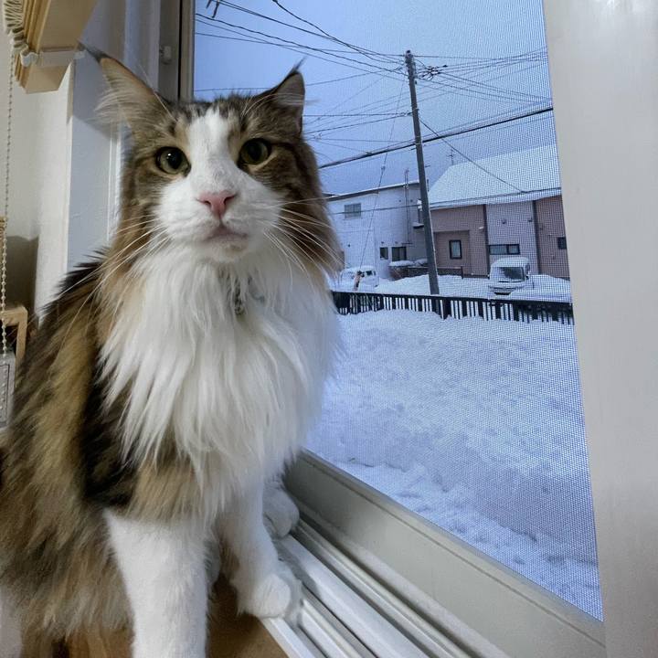 C1913896 d678 42d7 96f8 7307115d5a10 1671314387087