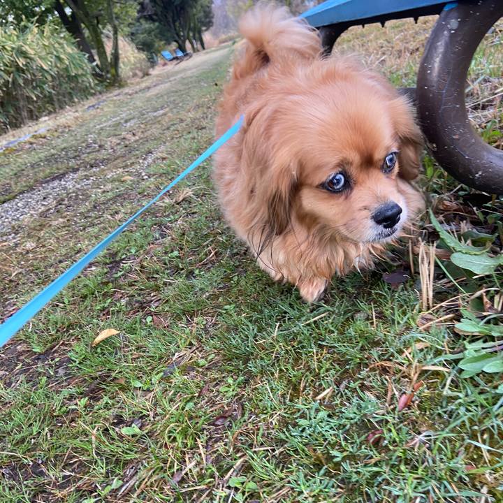 C191bcc5 e52f 424c 9b2a 7c24a97dddd4 1648243898038