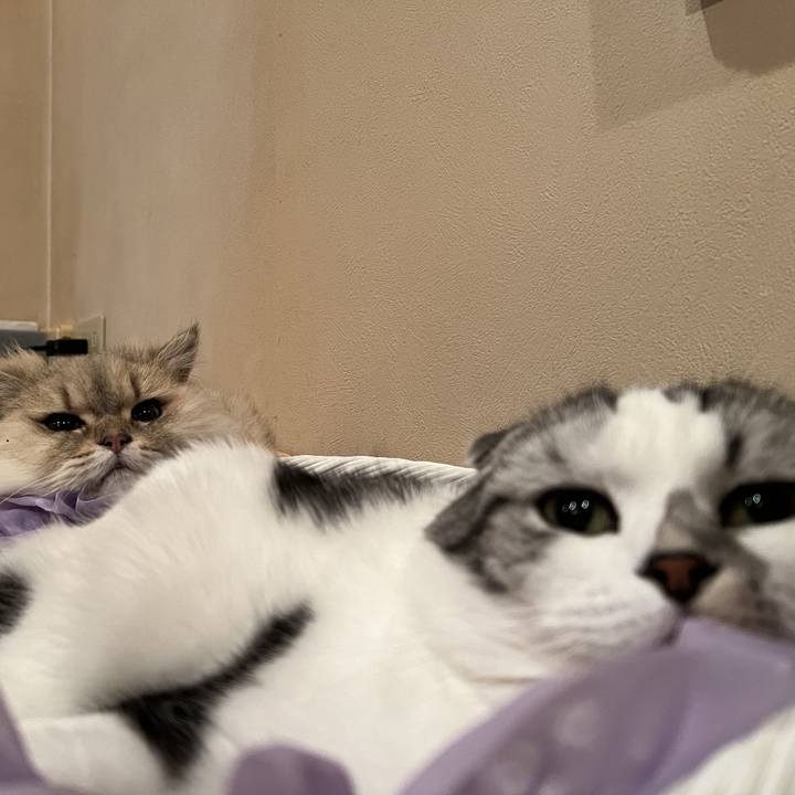 C191c2c2 f525 4002 9d36 1c781d32d30c 1727839538332