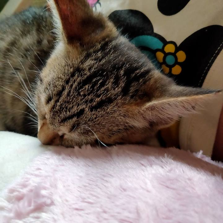 C191ceba 880e 4676 badd 79b1e7cdb442 1625099438784