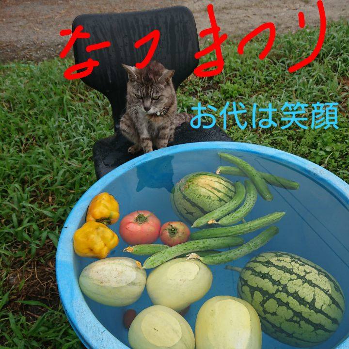 C191dc2f fad8 43a1 b2dd ffc6b8554f2b 1596835224303