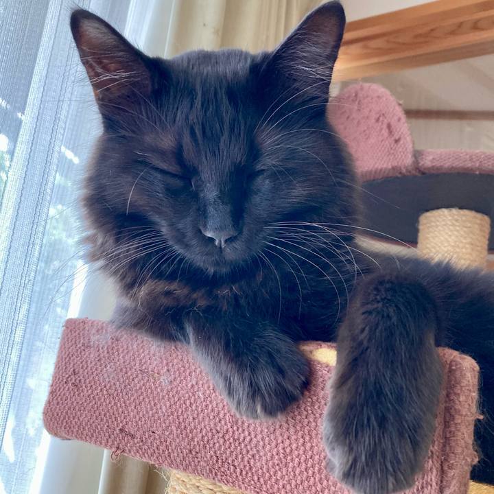 C191df3b dc12 4e65 bdb0 413ba870100a 1720680586060