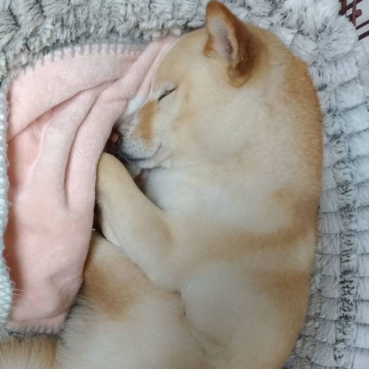 C191e8ea c16b 4252 b1a5 f9ca3d5f6f4a 1587988687406