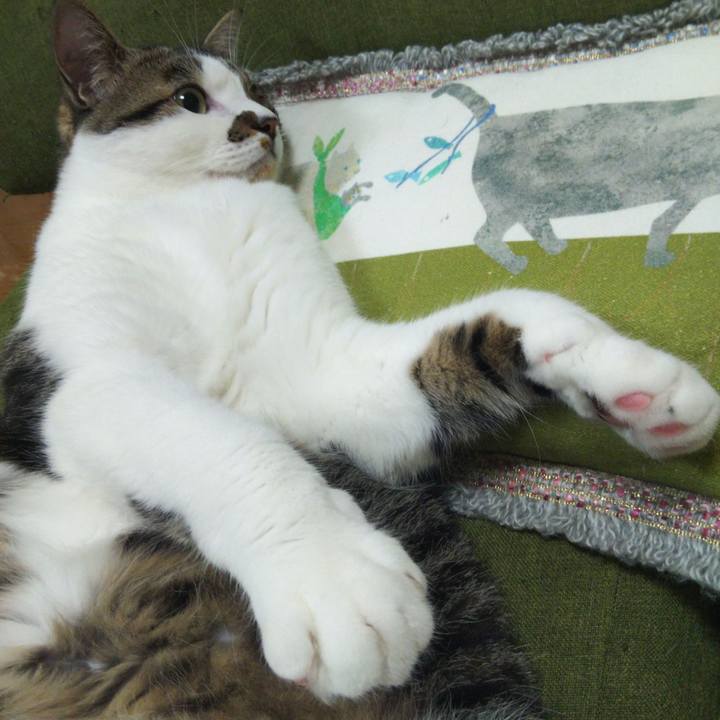 C1925f90 f568 4127 8475 a6244cbb517d 1652615602592