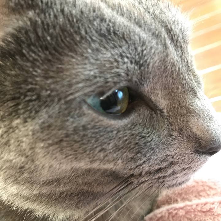 C192842c 4e2b 4717 98f2 73baf460c8cf 1512169680262