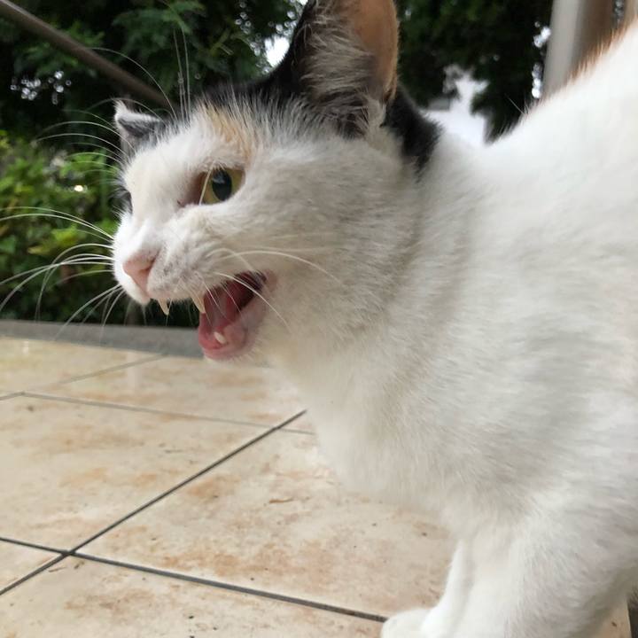 C192979b b726 41a0 a342 f81ea02303b8 1600380704778